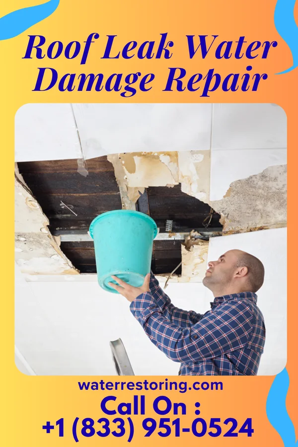 Roof Leak Water Damage Repair in Dunning, NE